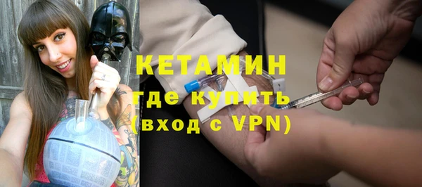 индика Краснослободск