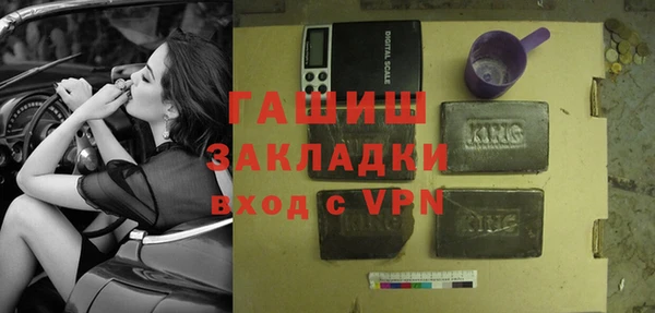 индика Краснослободск