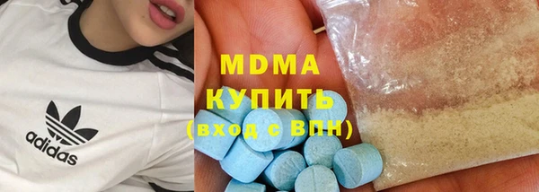 индика Краснослободск