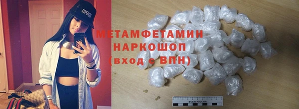 индика Краснослободск