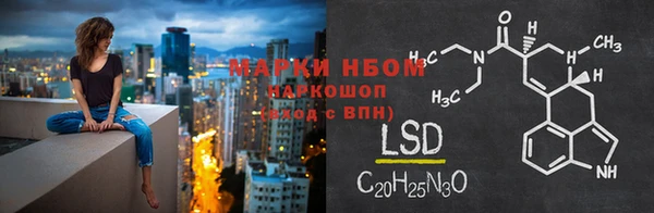 индика Краснослободск