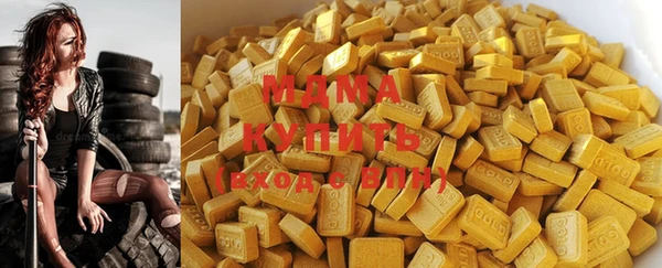 индика Краснослободск