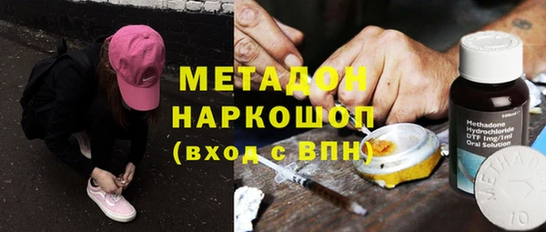индика Краснослободск