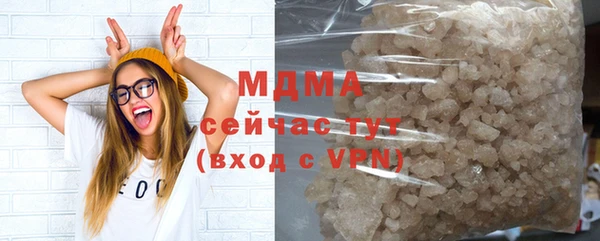индика Краснослободск