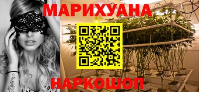 прущие крисы Бийск