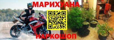 a pvp Кингисепп