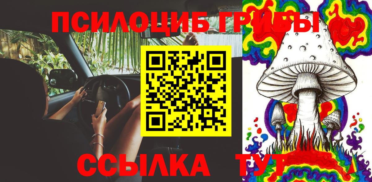 цена наркотик  Галлюциногенные грибы мухоморы  Вход с VPN  Галлюциногенные грибы Psilocybine cubensis  Шали 