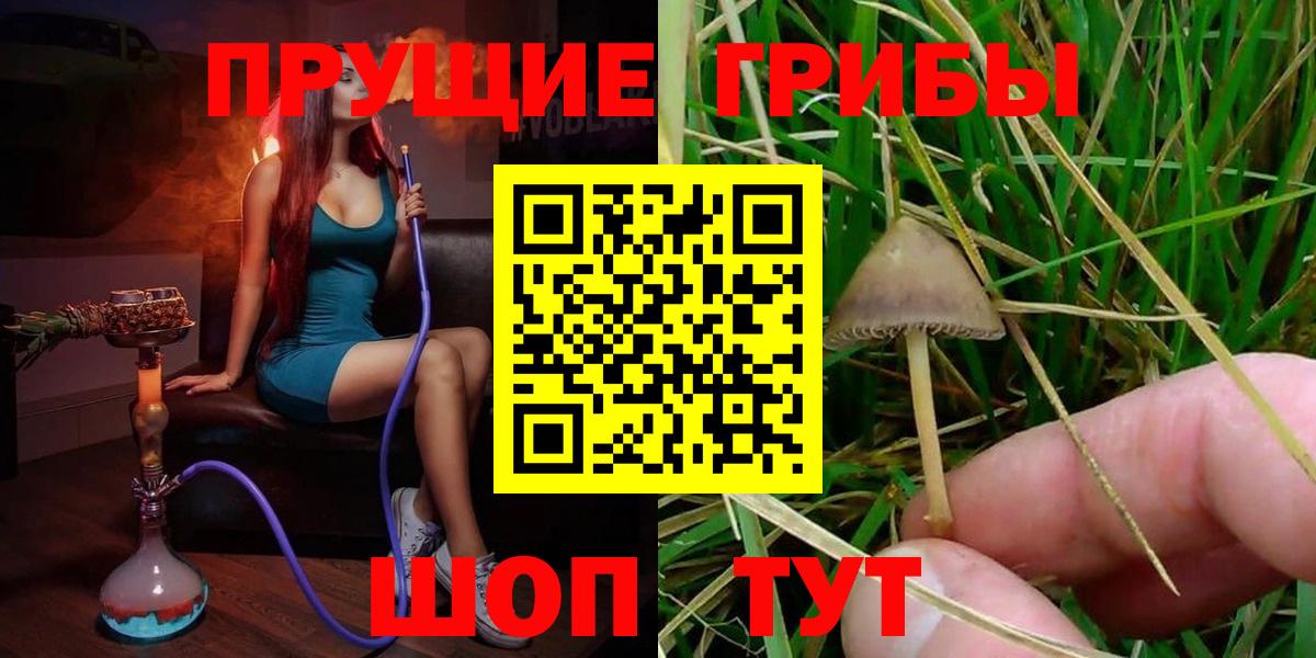 Псилоцибиновые грибы прущие грибы  Шали  Псилоцибиновые грибы мицелий 