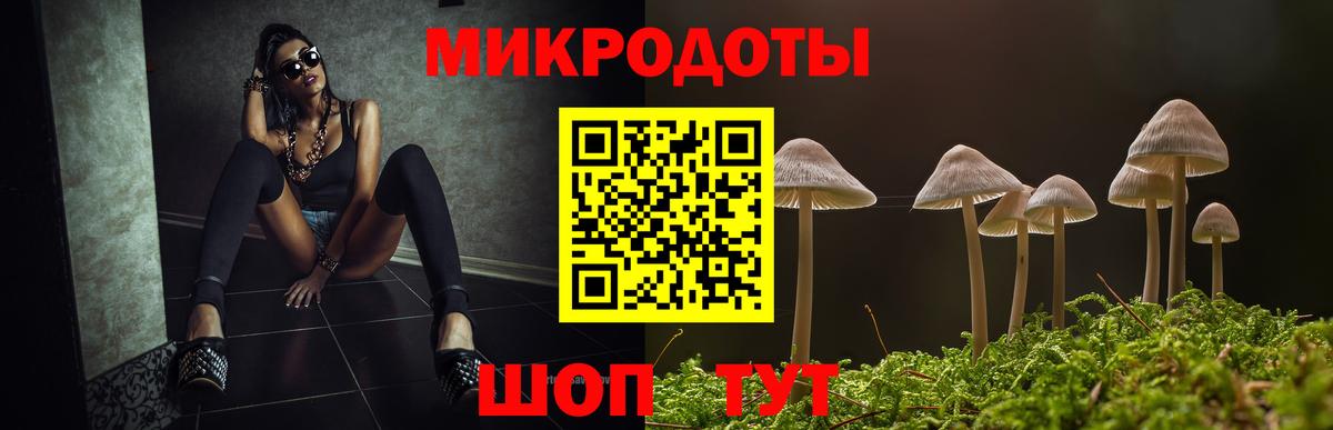 Псилоцибиновые грибы прущие грибы Шали